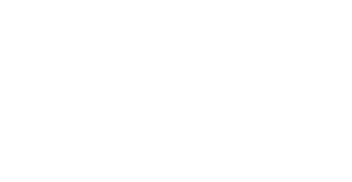 Volt Inu