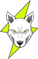 Volt Inu