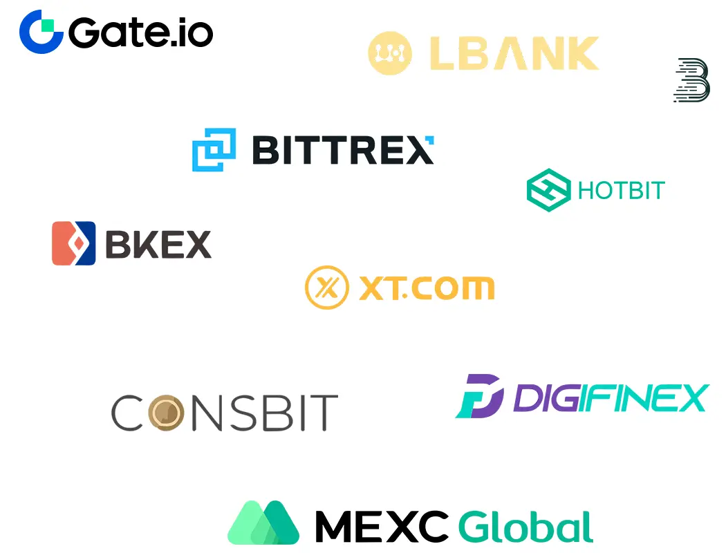 Centralized Exchanges